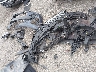 KM8HB3A33SU****** Destrozados 2025 Hyundai Kona en Estado de Oklahoma
