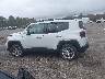 ZACNJBB10KP****** Salvage 2019 Jeep Renegade