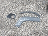 ZACNJBB10KP****** Wrecked 2019 Jeep Renegade in Massachusetts State