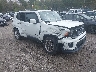 ZACNJBB10KP****** Salvage and Wrecked 2019 Jeep Renegade in Templeton
