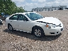2G1WT57KX91****** Salvamento y Destrozados 2009 Chevrolet Impala en Indianapolis