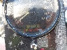 1HD1FBW116Y****** Salvage 2006 Harley-Davidson Road King in Rec Rides Online Exclusive