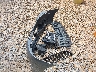 3N1AB7APXEY****** Repairable 2014 Nissan Sentra