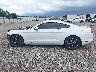 1FA6P8TH4L5****** Salvage 2020 Ford Mustang