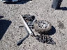 1C6SRFFT1LN****** Destrozados 2020 RAM 1500 en Estado de Nuevo México