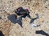 ZDMHAATW3LB****** Wrecked 2020 Ducati Superbike in North Carolina State