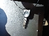 1FTPW14546K****** Salvage 2006 Ford F-150 in Nevada State