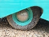 69157**** Salvamento 1969 Scottie Serro en Atlanta East