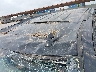 1GNSKBKC4KR****** Repairable 2019 Chevrolet Tahoe in Texas State