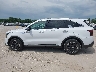5XYRL4JC2RG****** Salvamento 2024 Kia Sorento
