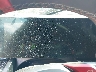WBS83FK02TC****** Salvage 2026 BMW M5