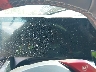 WBS83FK02TC****** Salvage 2026 BMW M5 in Long Island