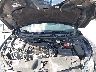 19XFC2F60LE****** Repairable 2020 Honda Civic in West Palm Beach