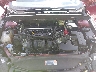 3FA6P0G71GR****** Repairable 2016 Ford Fusion in Gulf Coast