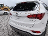 5XYZU3LB1HG****** Salvamento y Reparables 2017 Hyundai Santa Fe en Estado de Missouri