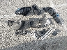 WBA73DB06SC****** Destrozados 2025 BMW M4 en Estado de California