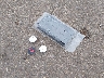 2C3CDXBG0NH****** Destrozados 2022 Dodge Charger en Estado de Mississippi