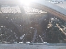 2T2ZK1BA6BC****** Used and Repairable 2011 Lexus RX in Arkansas State