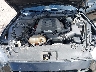 1FA6P8CF8F5****** Repairable 2015 Ford Mustang in Albuquerque