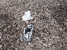 JF2SKAMC7LH****** Wrecked 2020 Subaru Forester in Ohio State
