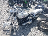 1HD1BKL16WY****** Wrecked 1998 Harley-Davidson Softail Custom in Georgia State