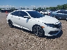 2HGFC2F85KH****** Salvage and Wrecked 2019 Honda Civic in Lexington