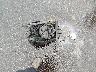 JH2RC4409XM****** Destrozados 1999 Honda Vt750c en Estado de Illinois