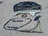 KMHLL4DGXSU****** Wrecked 2025 Hyundai Elantra in Texas State
