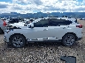 5J8TC2H71LL****** Salvage 2020 Acura RDX