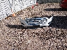 1FMCU9GD5KU****** Wrecked 2019 Ford Escape in Wisconsin State