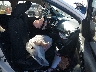 KL8CD6SA8LC****** Usados y Reparables 2020 Chevrolet Spark en Estado de Nevada