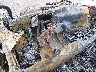 1FT8W3BTXLE****** Salvamento 2020 Ford F-350 en Reno