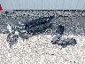3KPA24AD9NE****** Wrecked 2022 Kia Rio in Indiana State