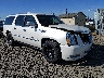 1GYS4KEF4ER****** Salvage and Wrecked 2014 Cadillac Escalade in Eugene