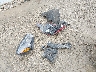 1FMCU9G6XLU****** Wrecked 2020 Ford Escape in Ohio State