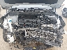 5XYPG4A36KG****** Reparables 2019 Kia Sorento en Grenada