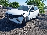 5NMJFCDE2RH****** Used and Repairable 2024 Hyundai Tucson in Long Island
