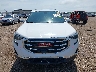 3GKALVEV2LL****** Wrecked 2020 GMC Terrain in Texas State