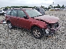 JF2SHABC5BH****** Salvage and Wrecked 2011 Subaru Forester in Eugene