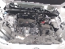 3CZRZ2H57SM****** Reparables 2025 Ford Explorer en Phoenix