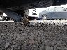 3TMLU4ENXFM****** Used and Repairable 2015 Toyota Tacoma in Honolulu