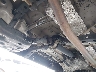 3TMLU4ENXFM****** Salvage and Repairable 2015 Toyota Tacoma in Honolulu