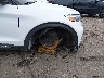 1FMSK8DH6PG****** Salvamento y Reparables 2023 Ford Explorer en Estado de Mississippi