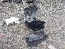 5NPLN4AG6MH****** Wrecked 2021 Hyundai Elantra in Virginia State