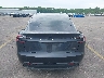 5YJ3E1EB5SF****** Wrecked 2025 Tesla Model 3