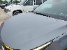 5XYRLDJC1RG****** Salvamento y Reparables 2024 Kia Sorento en Estado de Missouri