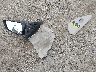 5NPEU46F96H****** Wrecked 2006 Hyundai Sonata in Wyoming State