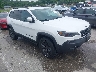 1C4PJMCXXLD****** Salvage and Wrecked 2020 Jeep Cherokee in Saint Louis