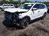 5XYP64GC2SG****** Usados y Reparables 2025 Kia Telluride en Lexington