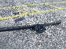 1FTEW2KP7SK****** Wrecked 2025 Ford F-150 in Florida State